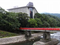 Yumoto Fujiya Hotel 3*