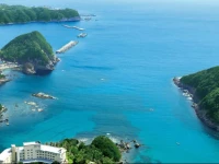 Shimoda Tokyu Hotel 4*