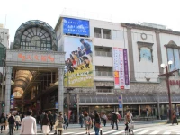 Hotel New Nishino 3*