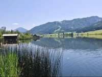 Hotel Gasthof Weissensee
