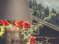 Gastehaus Leitnerhof