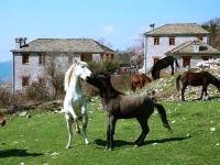 Rupicapra Villas Papingo 3*