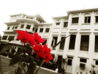 Delta International 2*