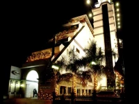 Arcadia Hotel Kottayam 3*