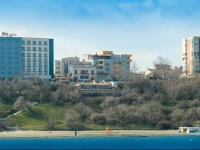 Ibis Constanta