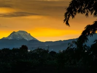 Finca Hotel Los Girasoles