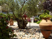 Renaissance Hanioti Resort 4*