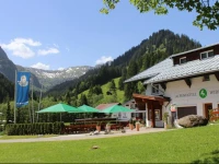 Alpenhotel Widderstein 3*