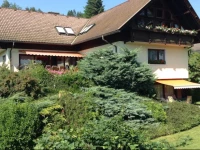 Ferienwohnungen Salmen 3*