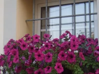 Hotel Paese Corvara 2*