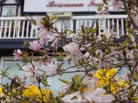 Boscawen Inn 3*