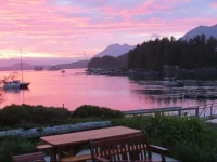 Tofino Swell Lodge 1*