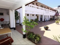 New Palm Tree Hotel 3*