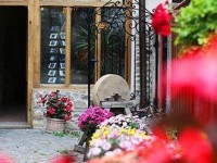 Fronius Residence 5*