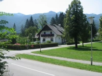 Alp Apartments Bohinj 3*