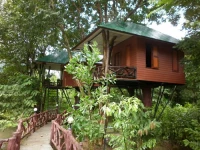 Khao Sok Paradise Resort