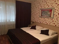 Hotel Schlussel Binningen 1*