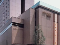 Keio Plaza Hotel Hachioji 4*