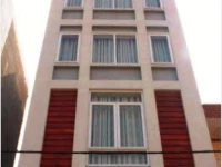 Mango Hotel Da Nang 2*