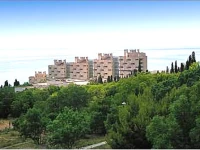 Р—РѕСЂРё Р РѕСЃСЃРёРё