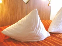 City Hotel Mannheim 2*