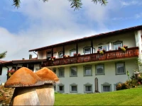 Hotel Landhaus Staufenblick 3*