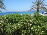 Hotel Petras Beach 1*