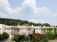 Р’РѕР»РіР°