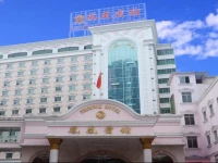 Phoenix Hotel Nanning 4*