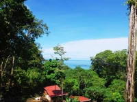 Mar Y Selva Ecolodge 3*