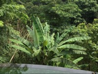 Casabrina Vacation Villas 5*