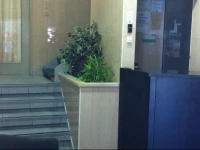 Pensao Bela Figueira 1*