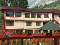 Pension Cuibul Viselor 3*