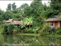 Paradise Spa Resort 3*