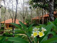 Koh Mook Rubber Tree Bungalow 2*
