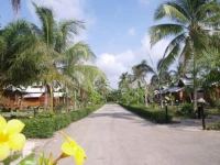 Chumphon Palm Resort 2*
