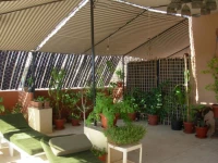 Mara House Hotel Luxor 3*