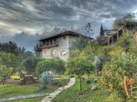 Hameiri Estate Rosh Pinna