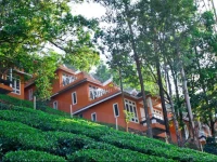 Tea Valley Resort 4*