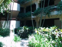 The Westin Resort Nusa Dua Bali 5*