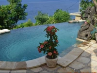 Paradise Bungalows Bali 1*