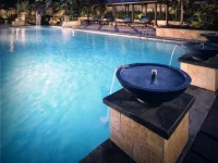 Sari Pan Pacific Jakarta 5*