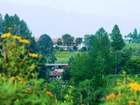 Patra Parapat Lake Resort 2*