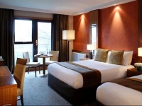 Newpark Hotel 4*