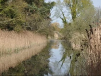 Bridge Bed and Breakfast 4*