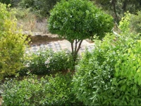 Casa Los Naranjos 3*