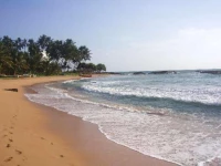 Pandanus Beach Resort & Spa 4*