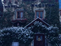 Hotel Casa Socotor 2*