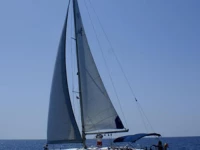 Bavaria 44