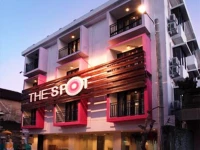 The Spot Color Theme 3*